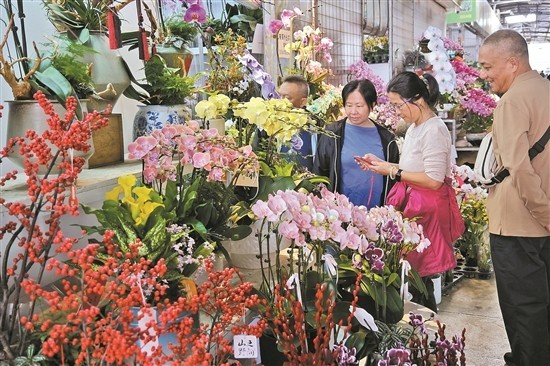 年花价格略涨 龙年新品热销